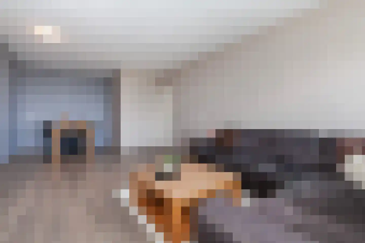Vrijheer van Eslaan 467 Papendrecht thumbnail 7