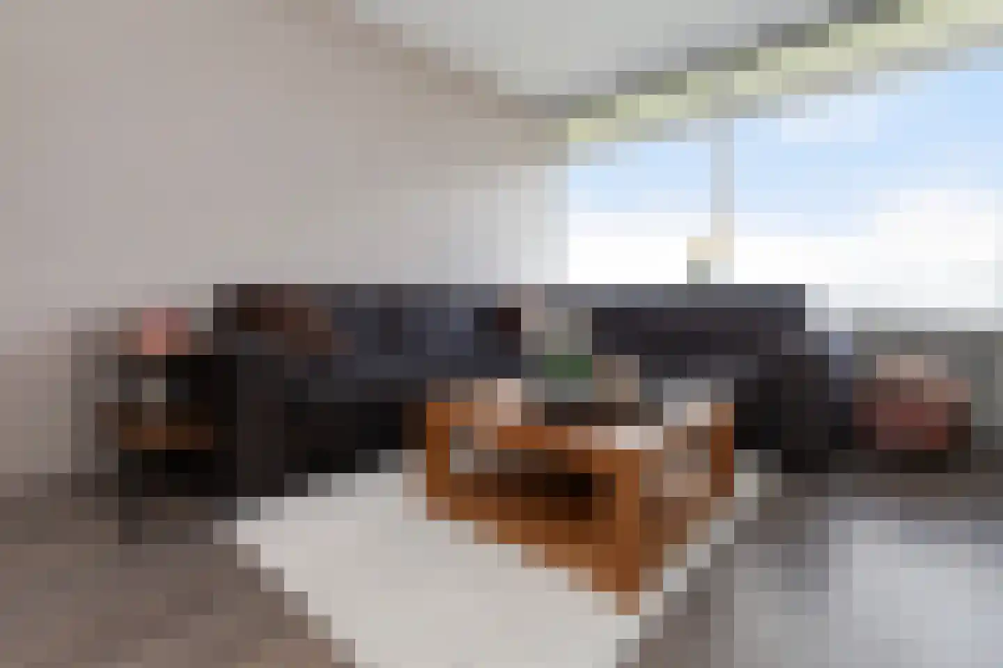 Vrijheer van Eslaan 467 Papendrecht thumbnail 8