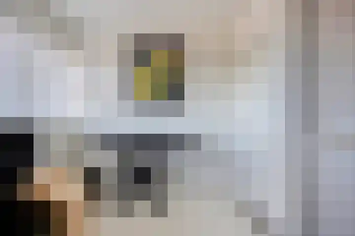 Vrijheer van Eslaan 473 Papendrecht thumbnail 12