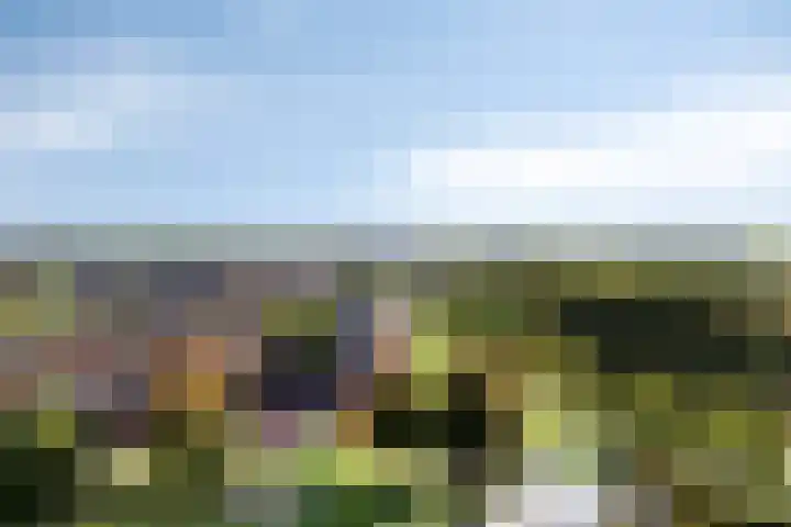 Vrijheer van Eslaan 473 Papendrecht thumbnail 17