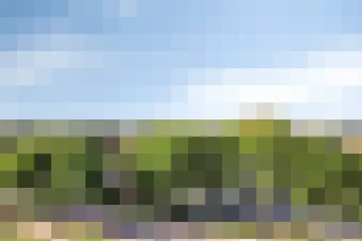 Vrijheer van Eslaan 473 Papendrecht thumbnail 18
