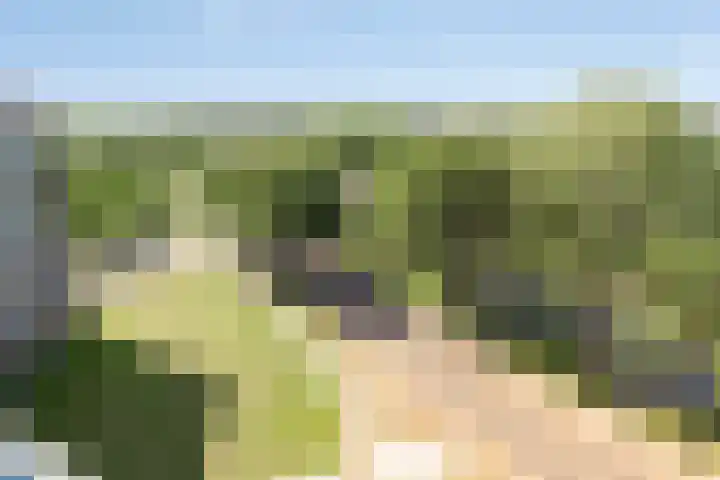 Vrijheer van Eslaan 481 Papendrecht thumbnail 17