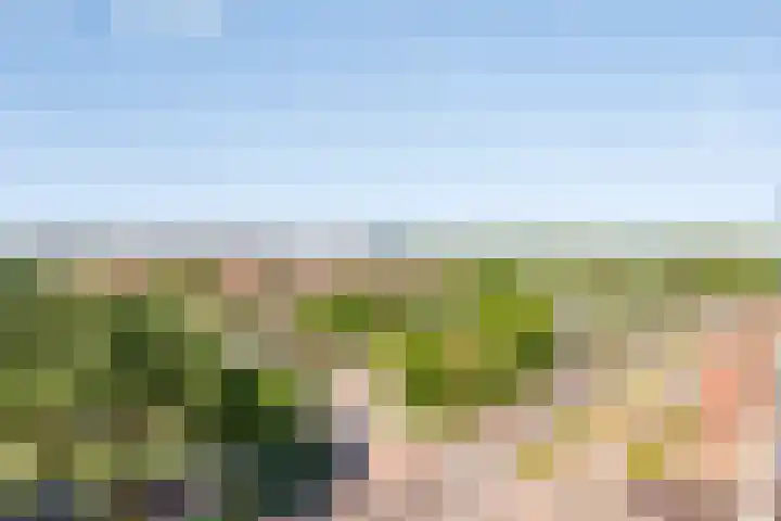 Vrijheer van Eslaan 481 Papendrecht thumbnail 18