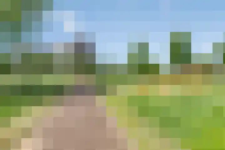 Vrijheer van Eslaan 481 Papendrecht thumbnail 19