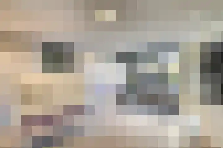 Vrijheer van Eslaan 481 Papendrecht thumbnail 21