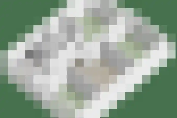 Vrijheer van Eslaan 481 Papendrecht thumbnail 28