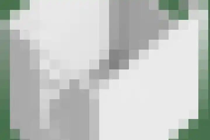 Vrijheer van Eslaan 481 Papendrecht thumbnail 29