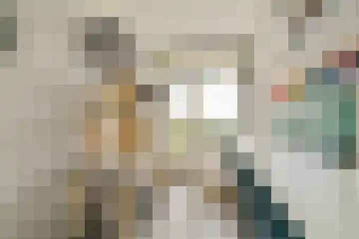 Vrijheer van Eslaan 483 Papendrecht thumbnail 13