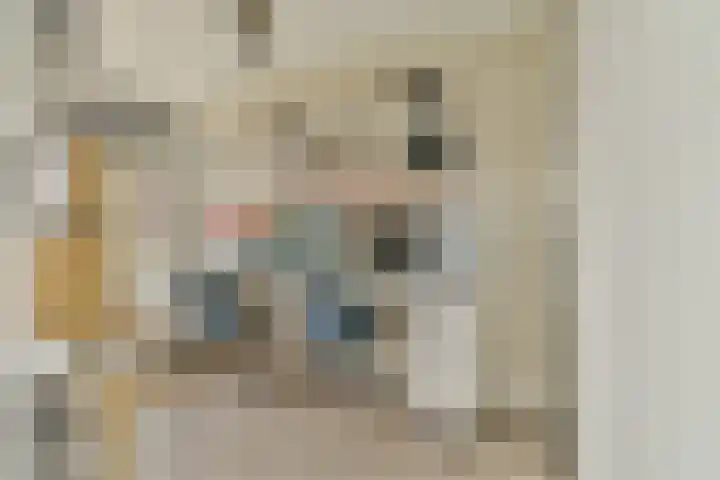 Vrijheer van Eslaan 483 Papendrecht thumbnail 14