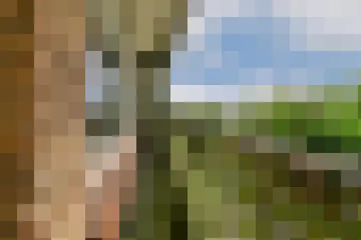 Vrijheer van Eslaan 483 Papendrecht thumbnail 15