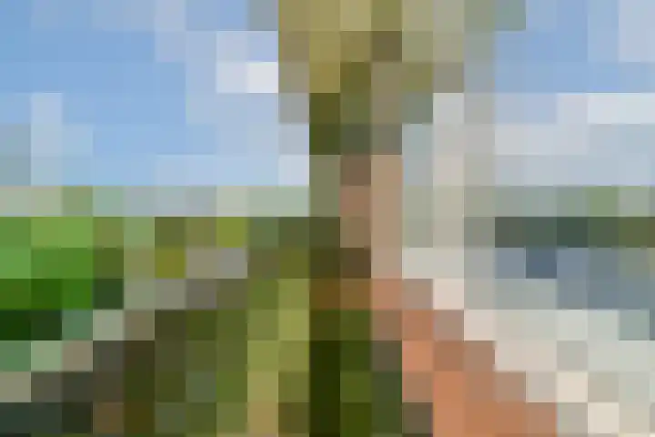 Vrijheer van Eslaan 483 Papendrecht thumbnail 16