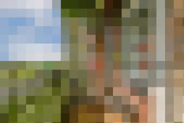 Vrijheer van Eslaan 483 Papendrecht thumbnail 17