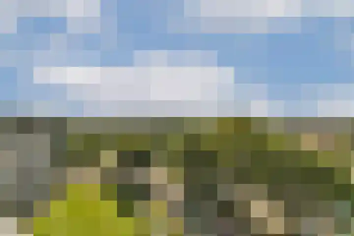 Vrijheer van Eslaan 483 Papendrecht thumbnail 18