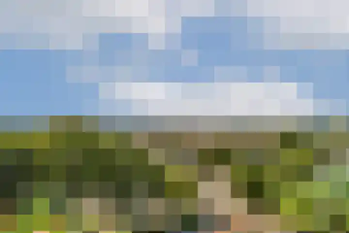 Vrijheer van Eslaan 483 Papendrecht thumbnail 19