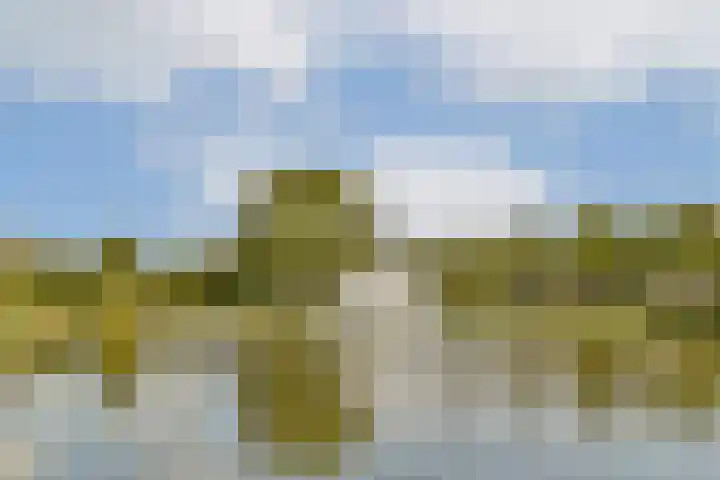Vrijheer van Eslaan 483 Papendrecht thumbnail 24