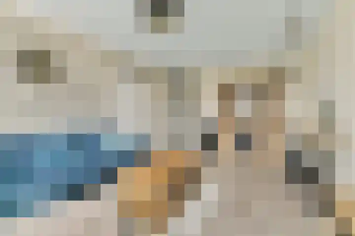 Vrijheer van Eslaan 483 Papendrecht thumbnail 6