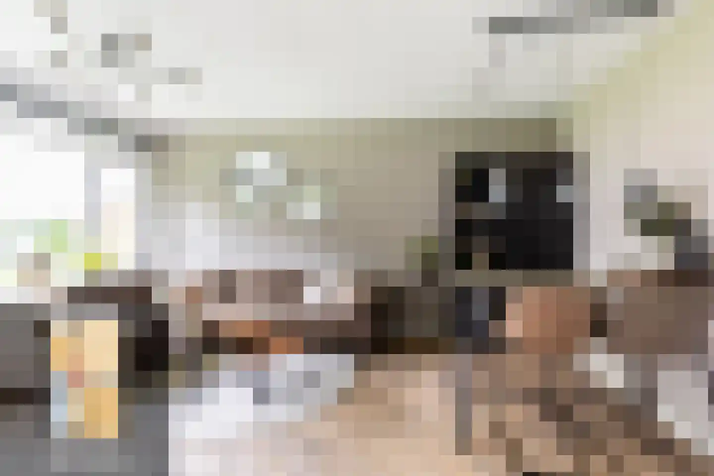 Vrijheer van Eslaan 67 Papendrecht thumbnail 15