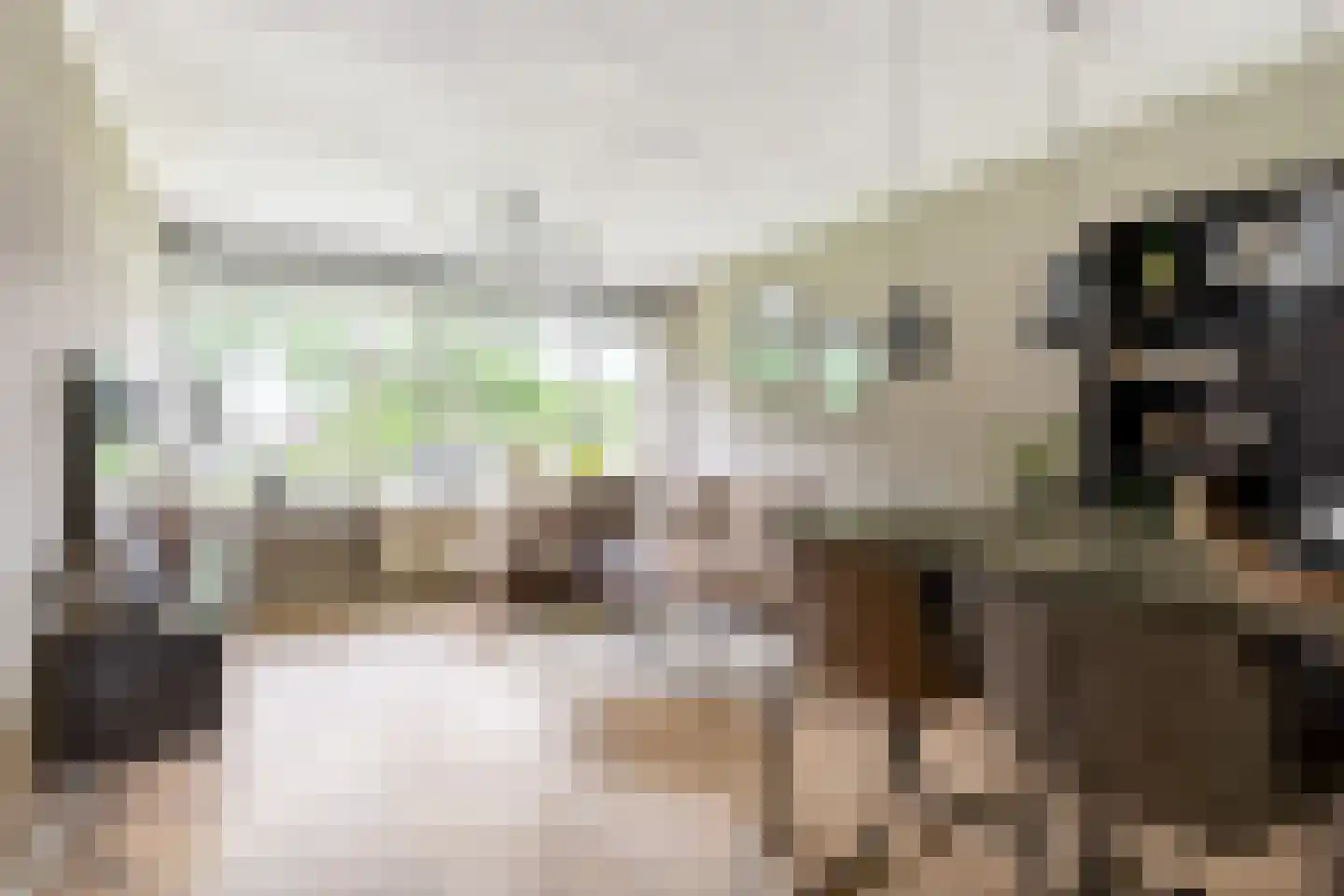 Vrijheer van Eslaan 67 Papendrecht thumbnail 16