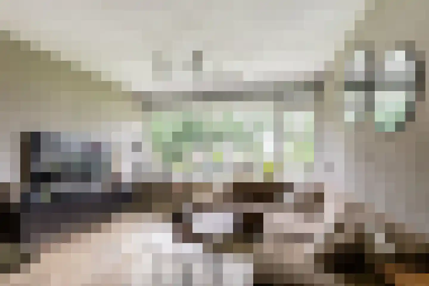 Vrijheer van Eslaan 67 Papendrecht thumbnail 17