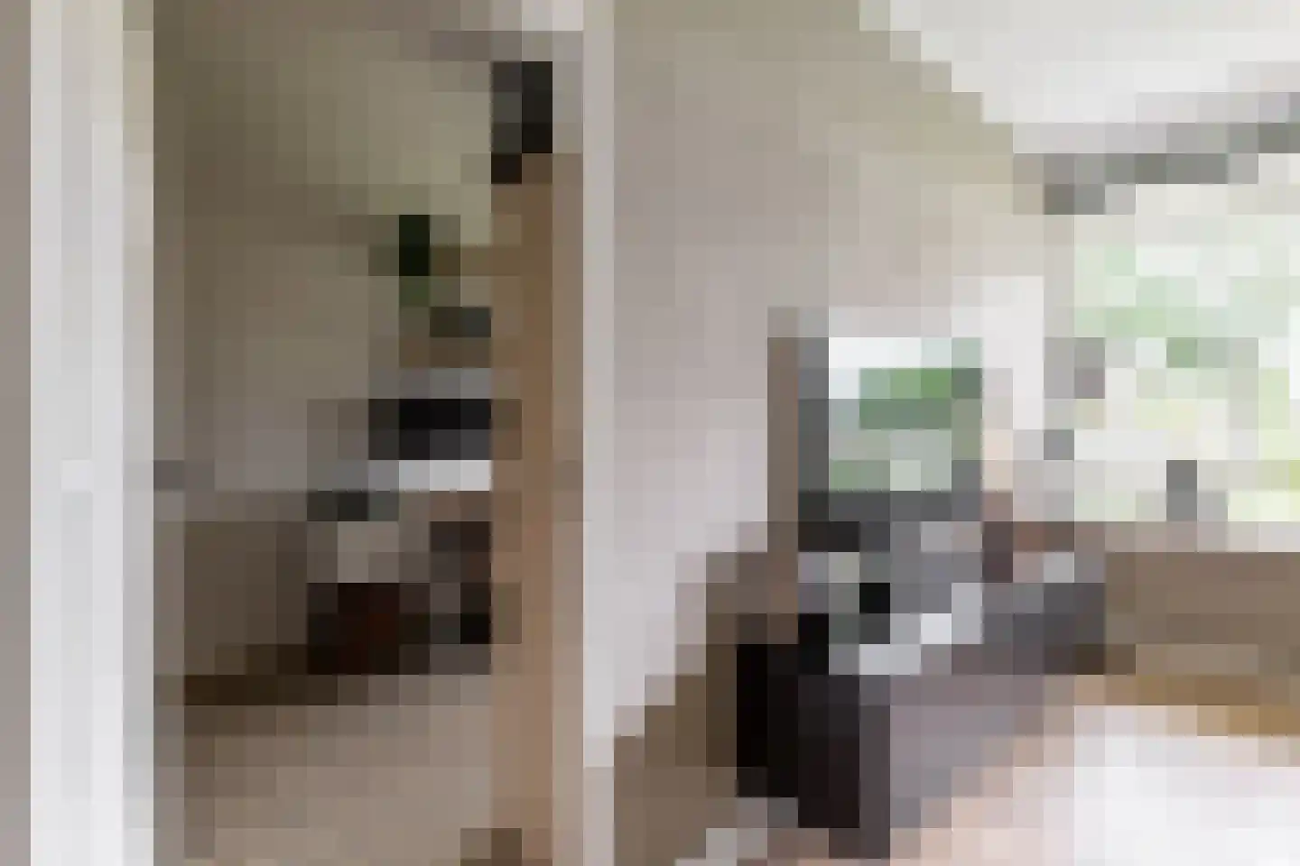 Vrijheer van Eslaan 67 Papendrecht thumbnail 18
