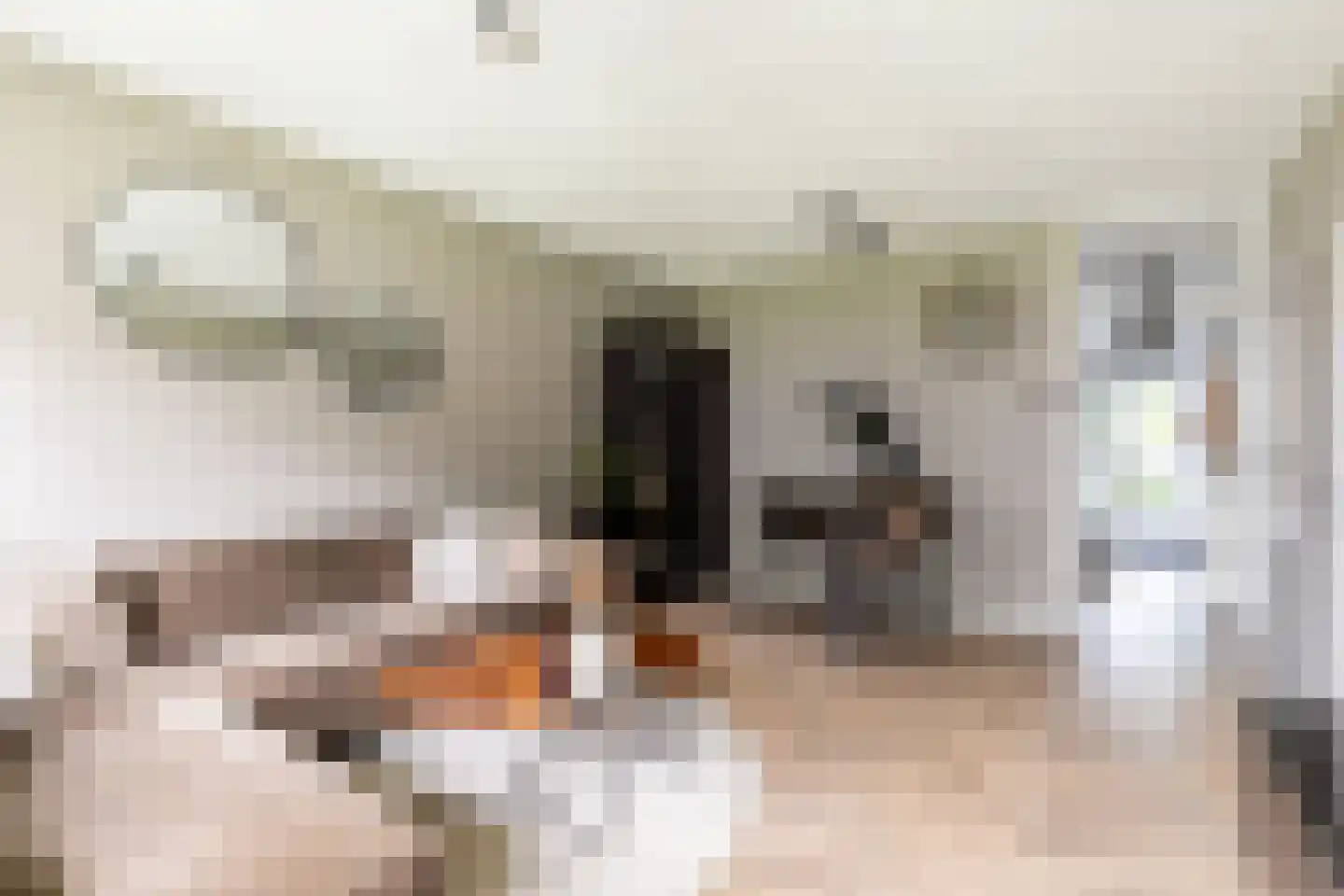 Vrijheer van Eslaan 67 Papendrecht thumbnail 19