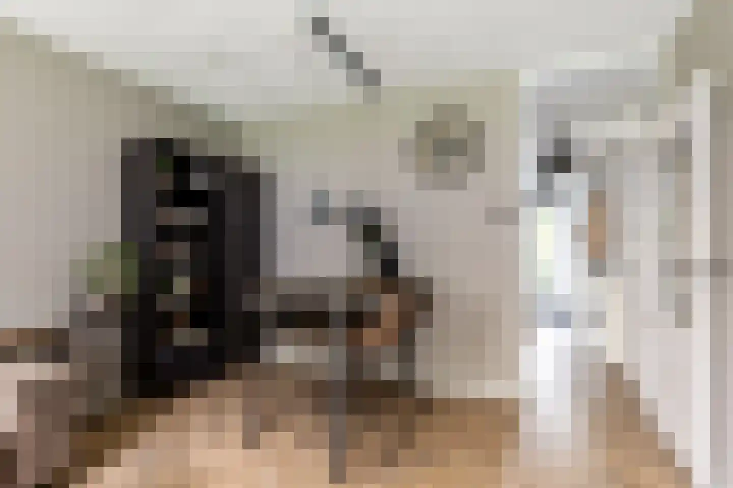 Vrijheer van Eslaan 67 Papendrecht thumbnail 20