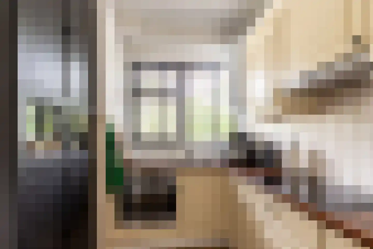 Vrijheer van Eslaan 67 Papendrecht thumbnail 22