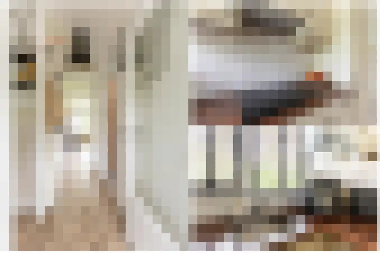 Vrijheer van Eslaan 67 Papendrecht thumbnail 23