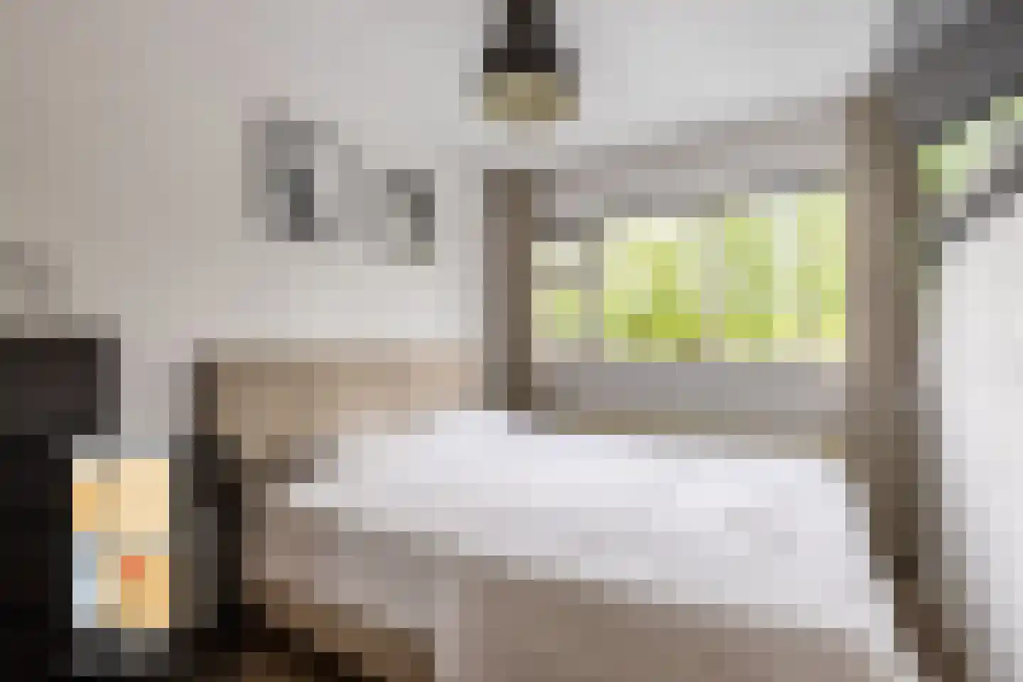 Vrijheer van Eslaan 67 Papendrecht thumbnail 24
