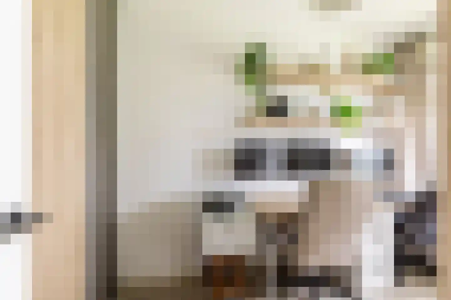 Vrijheer van Eslaan 67 Papendrecht thumbnail 29