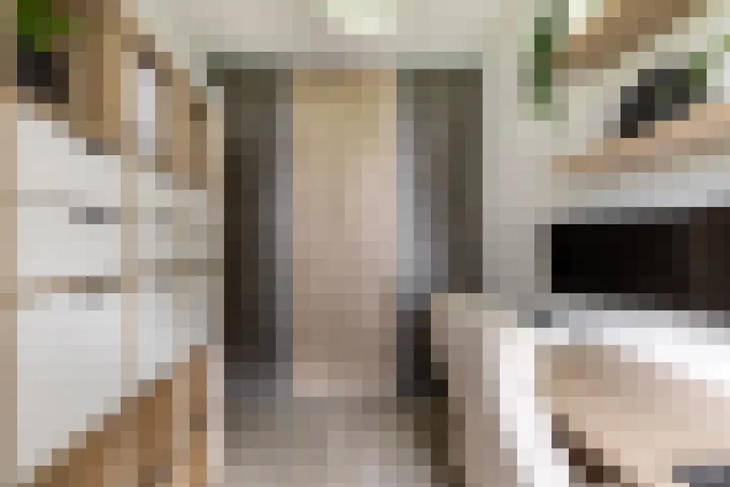 Vrijheer van Eslaan 67 Papendrecht thumbnail 30