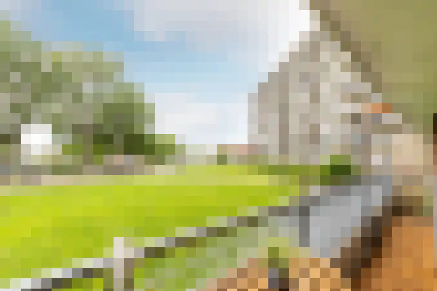 Vrijheer van Eslaan 67 Papendrecht thumbnail 4