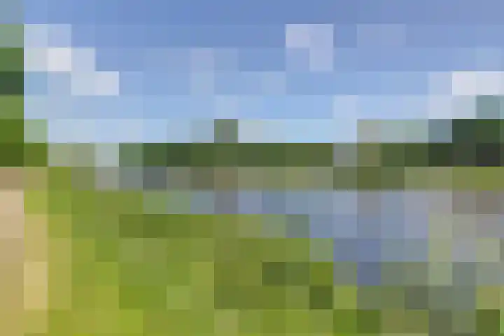 Vrijheer van Eslaan 73 Papendrecht thumbnail 17