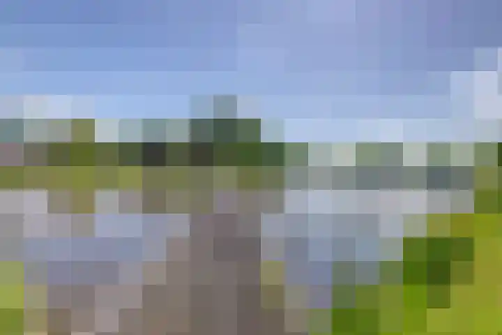 Vrijheer van Eslaan 73 Papendrecht thumbnail 18