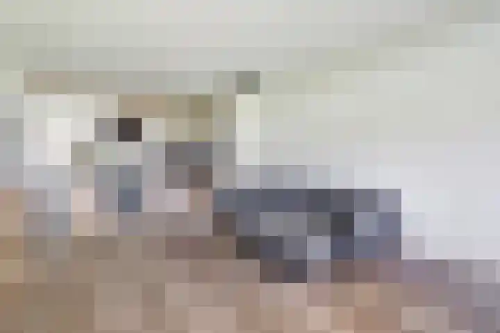 Vrijheer van Eslaan 73 Papendrecht thumbnail 5