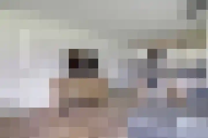Vrijheer van Eslaan 73 Papendrecht thumbnail 6