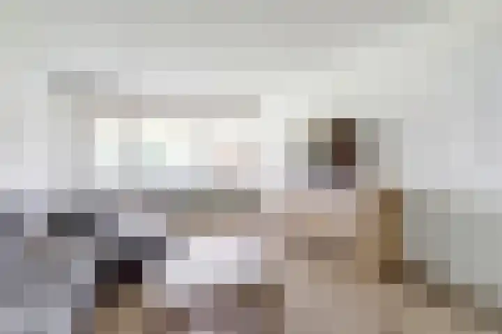 Vrijheer van Eslaan 73 Papendrecht thumbnail 7