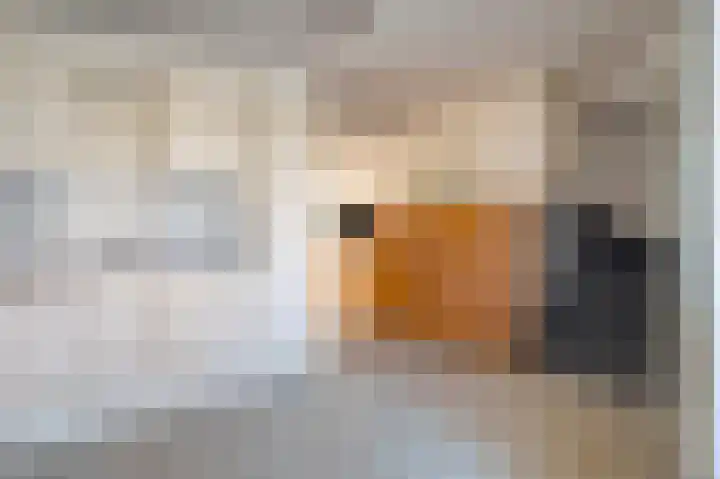 Vrijheerenberg 27 Heerlen thumbnail 10