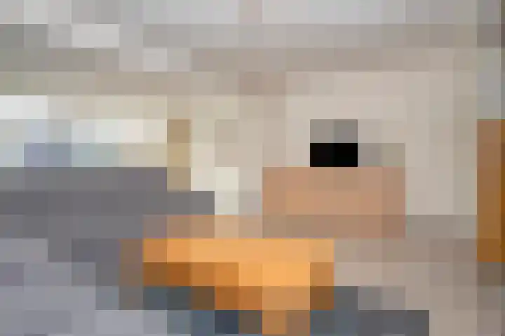 Vrijheerenberg 27 Heerlen thumbnail 14