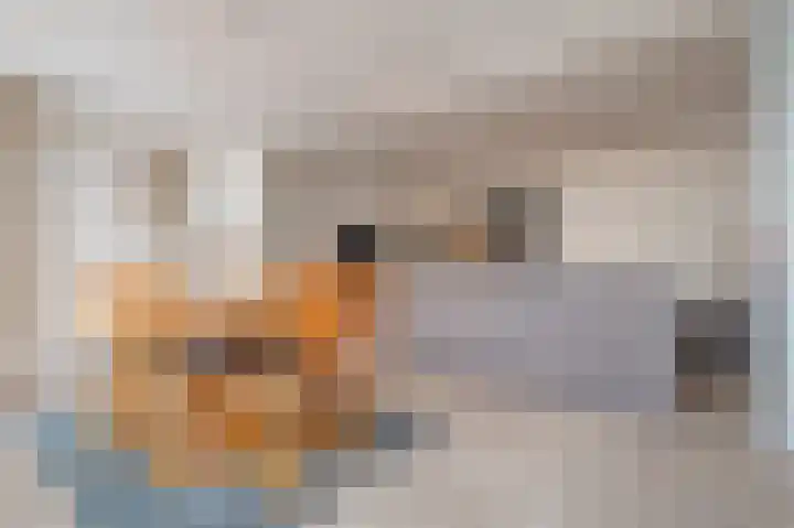 Vrijheerenberg 27 Heerlen thumbnail 19