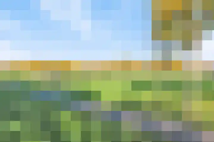 Vrijheerenberg 27 Heerlen thumbnail 4