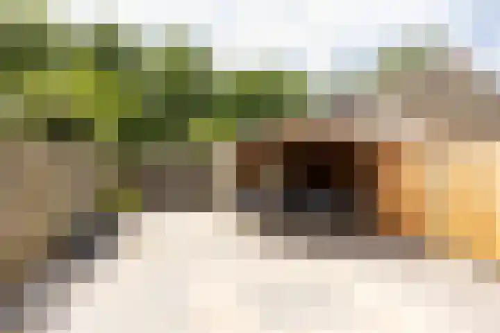 Vrijheid 44 Loosdrecht thumbnail 14