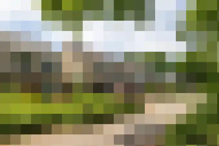 Vrijheid 44 Loosdrecht thumbnail 27
