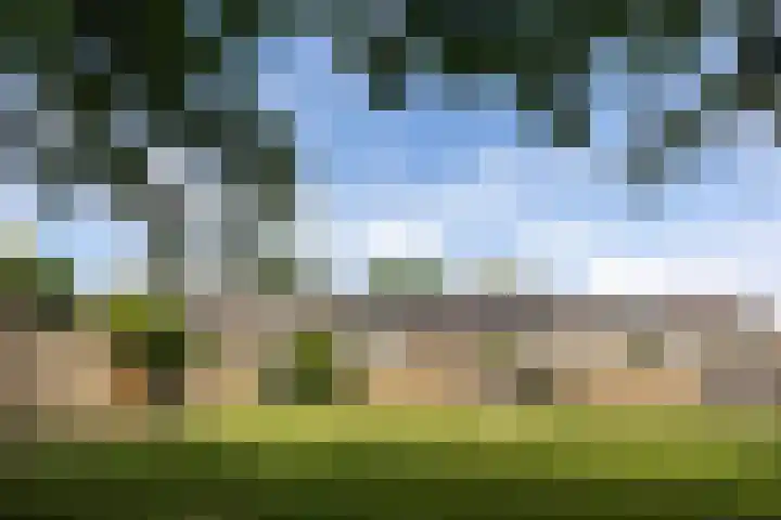 Vrijheid 44 Loosdrecht thumbnail 28