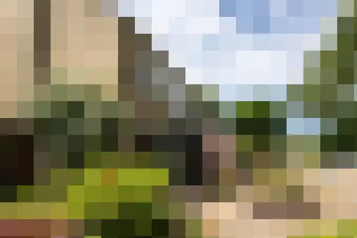 Vrijheid 44 Loosdrecht thumbnail 5