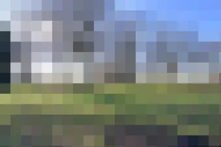 Vrijheid 54 Loosdrecht thumbnail 14