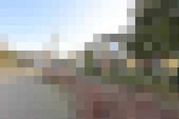 Vrijheid 54 Loosdrecht thumbnail 15