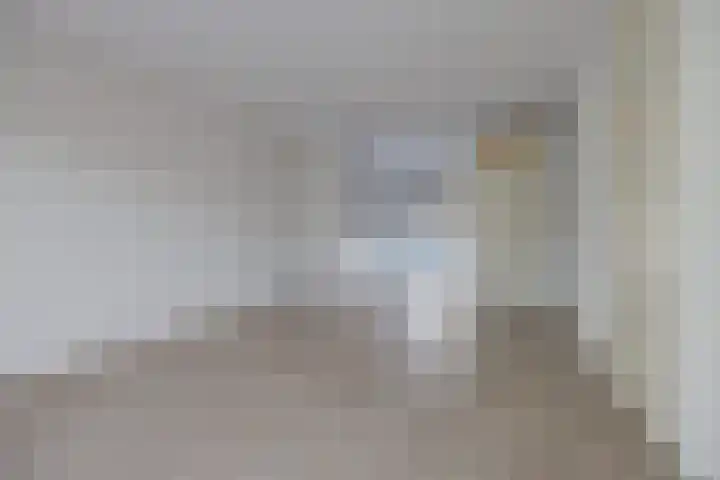 Vrijheidsakker 27 Etten-Leur thumbnail 11