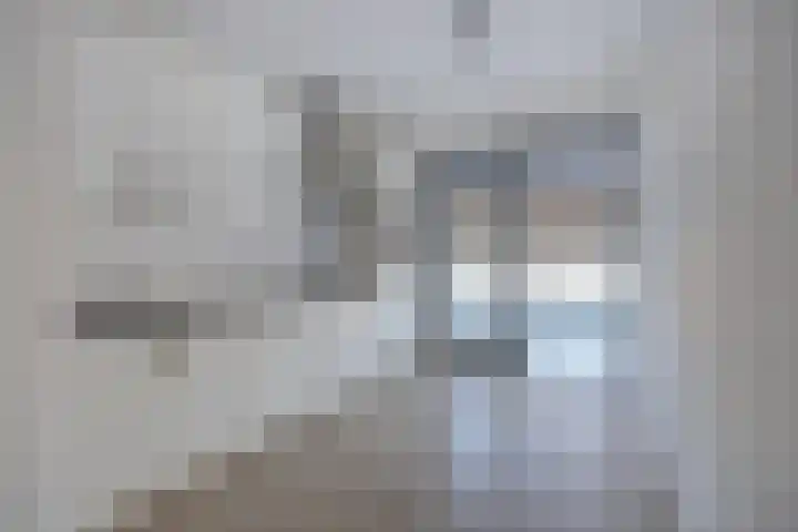 Vrijheidsakker 27 Etten-Leur thumbnail 12
