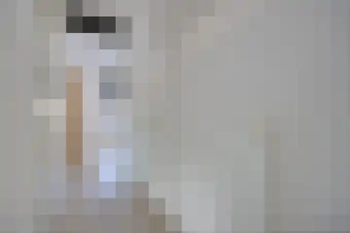 Vrijheidsakker 27 Etten-Leur thumbnail 15